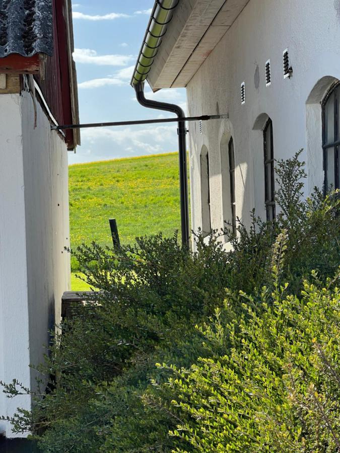 Backadal Gard Bnb Истад Экстерьер фото