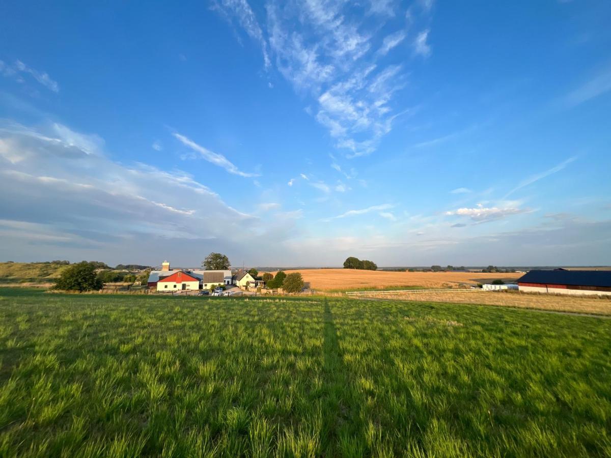 Backadal Gard Bnb Истад Экстерьер фото
