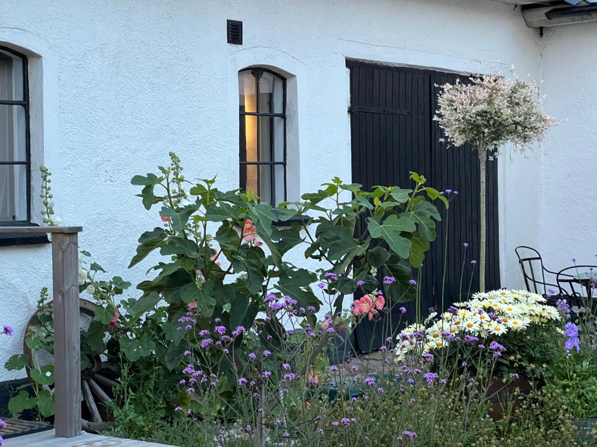 Backadal Gard Bnb Истад Экстерьер фото